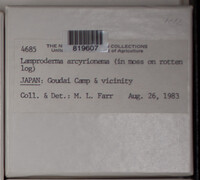 Image Associated With the Occurence
